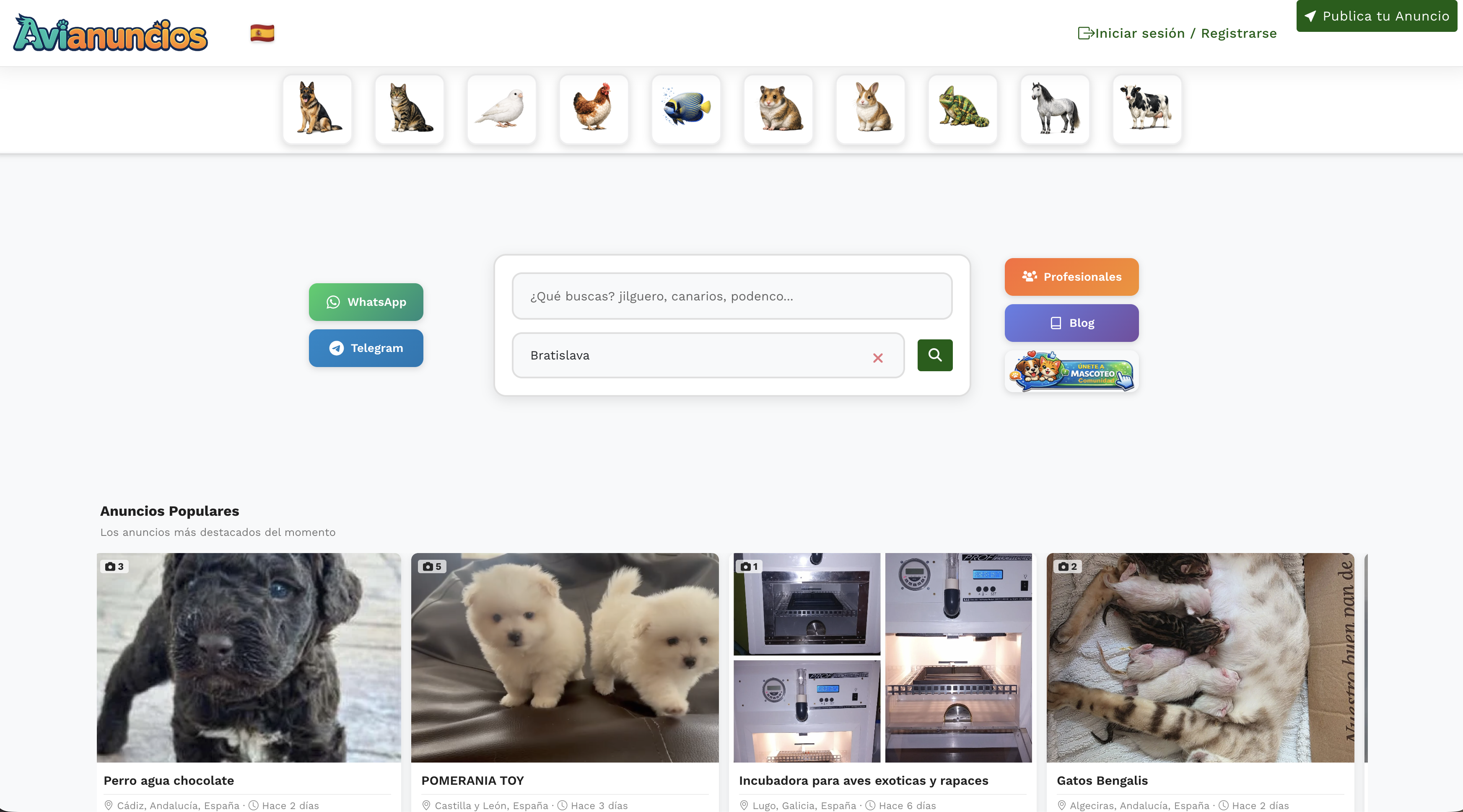 Avianuncios